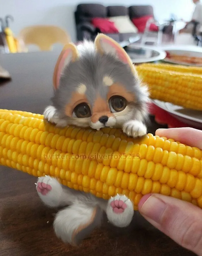 Милейший любитель кукурузы.