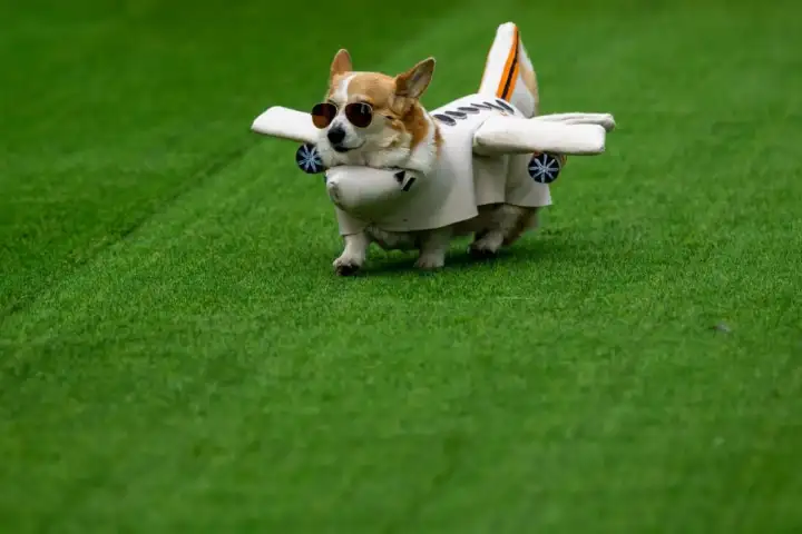 ...самолета...