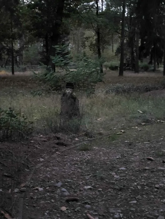 Тревожный силуэт. 