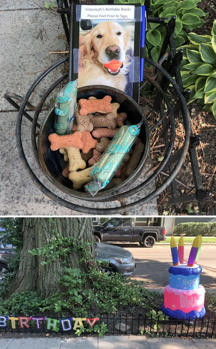 «Соседи украсили тротуар и положиди вкусняшки ко дню рождения собаки».