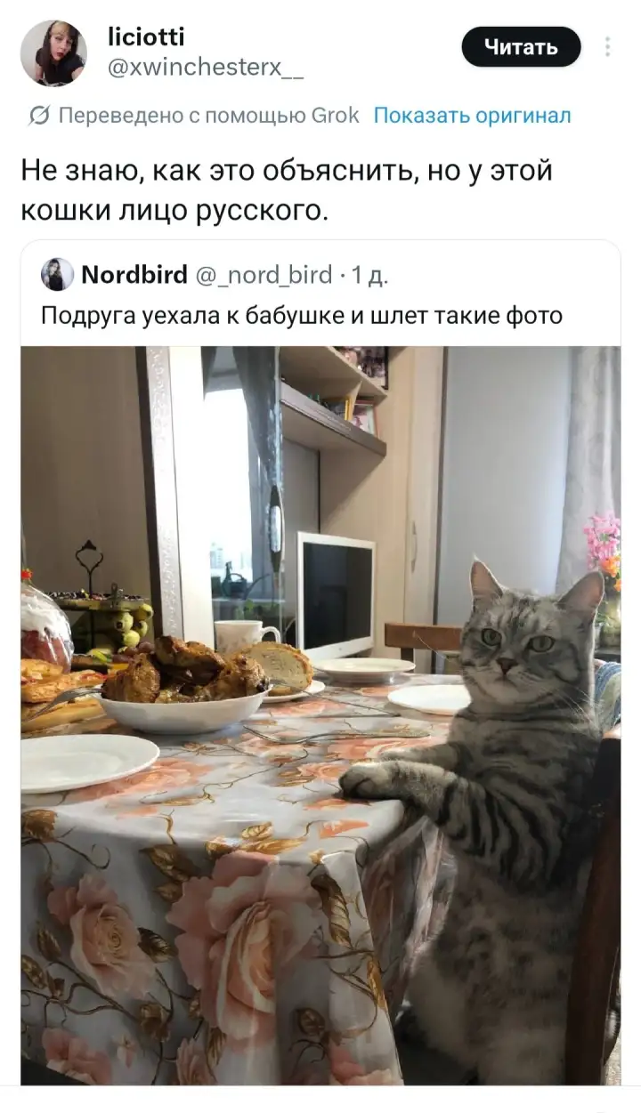 И как Испания.