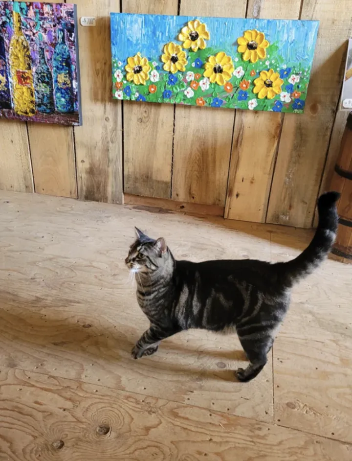 «Только что зашёл в нашу съемную квартиру».