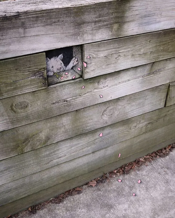 Окошко в мир.