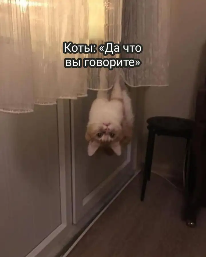 Вызов принят.