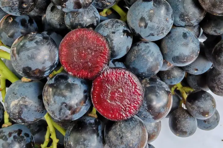 Бумбайты чёрные снаружи и красные внутри.