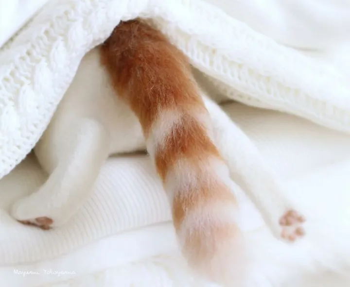 Любопытный хвост.