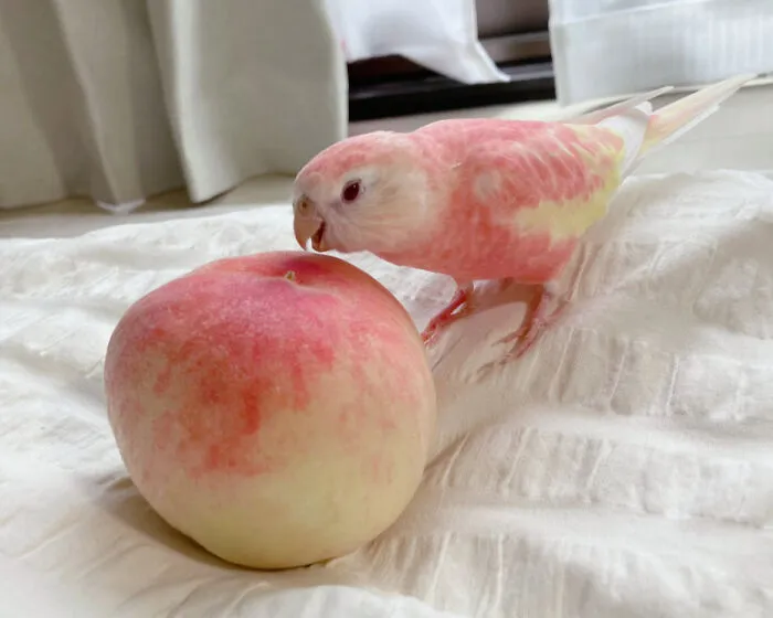 «Брат, что с тобой не так?»