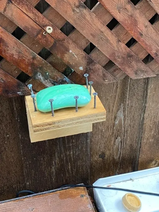 «Мыльница в доме моего друга».