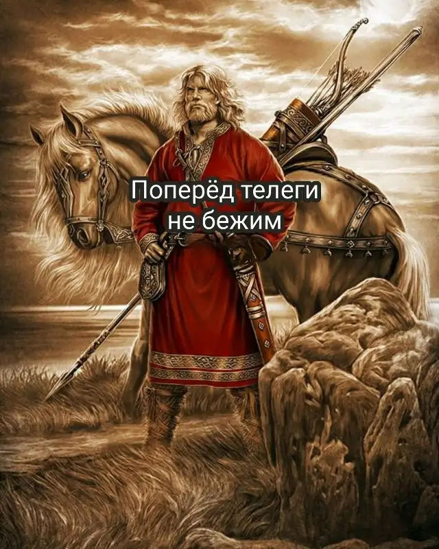 Поперёд телеги не бежим.