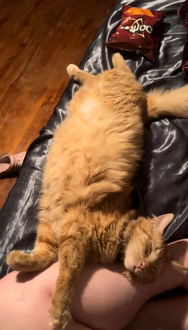 «Мой ребенок любит спать со мной».