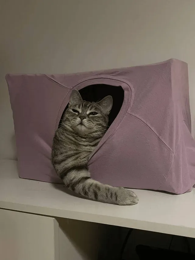 «Единственный телевизор, который я смотрю».