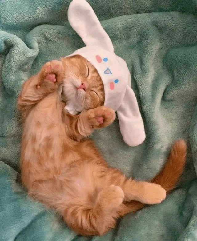 Милашка в кепке.