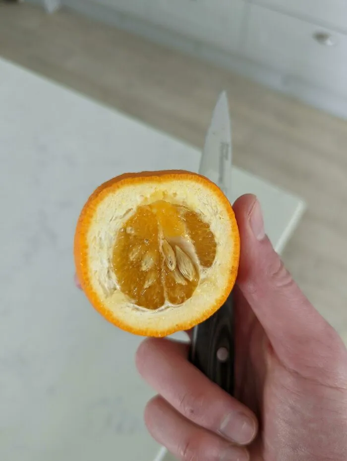 «Так себе мандаринка, не правда ли?»