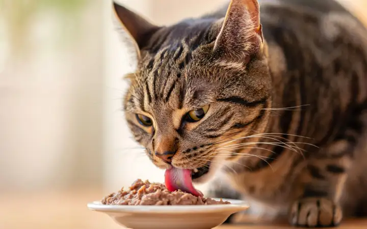 Сначала разберитесь с текстурой, потом со вкусом.