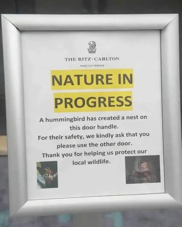 Сотрудники не тронули птицу – просто закрыли вход и отправили гостей через другой.