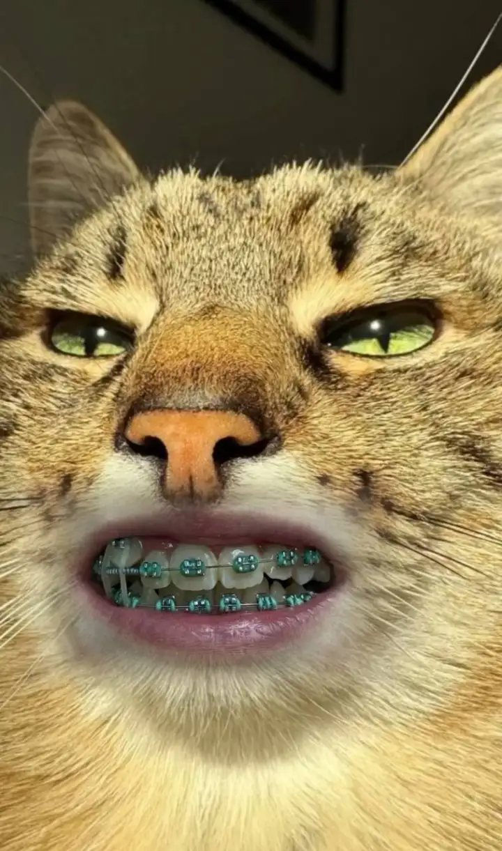 Зубастый котик 4.