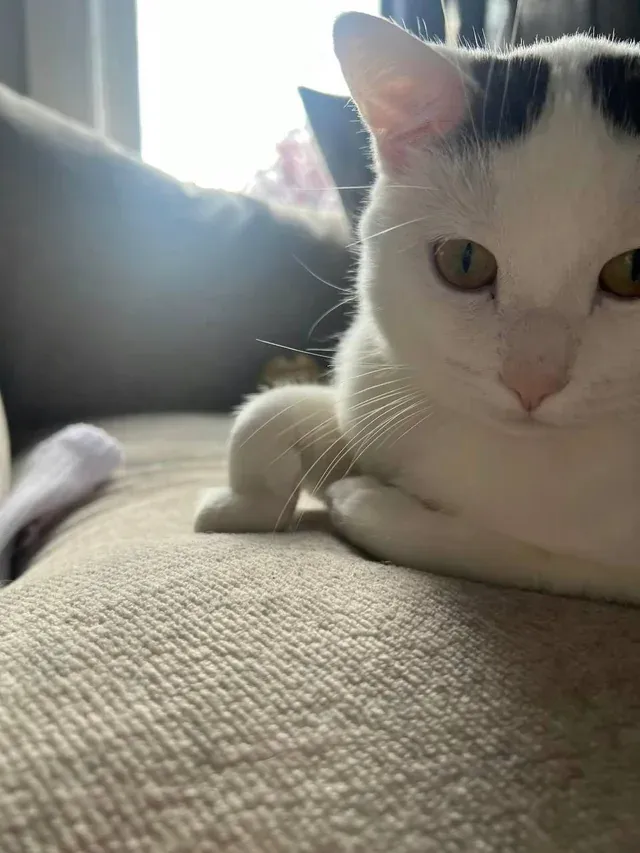 «Я заметил его сегодня в таком положении».