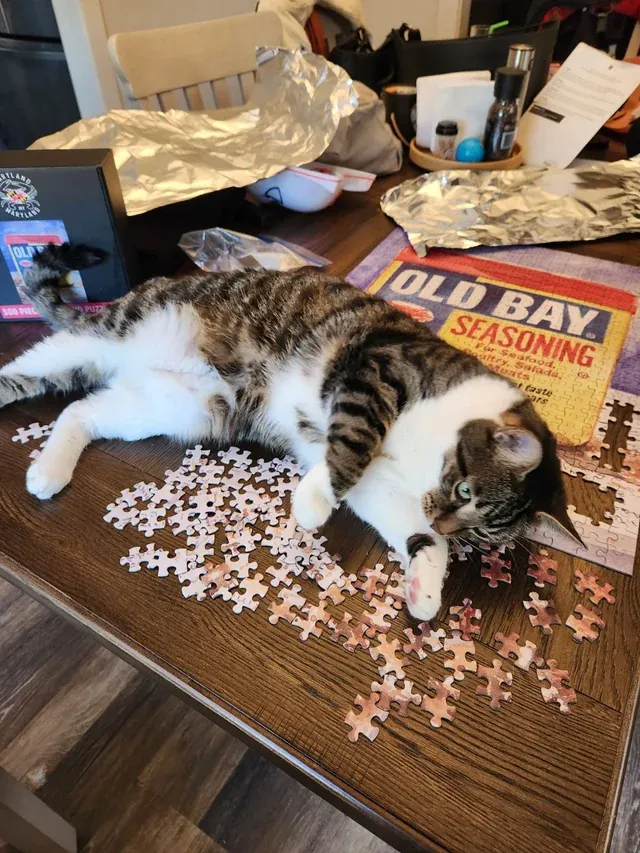 «Никаких пазл сегодня».