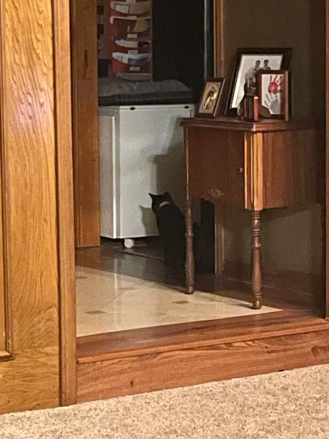 «Да, она смотрела на свою тень минут 10 без перерыва».