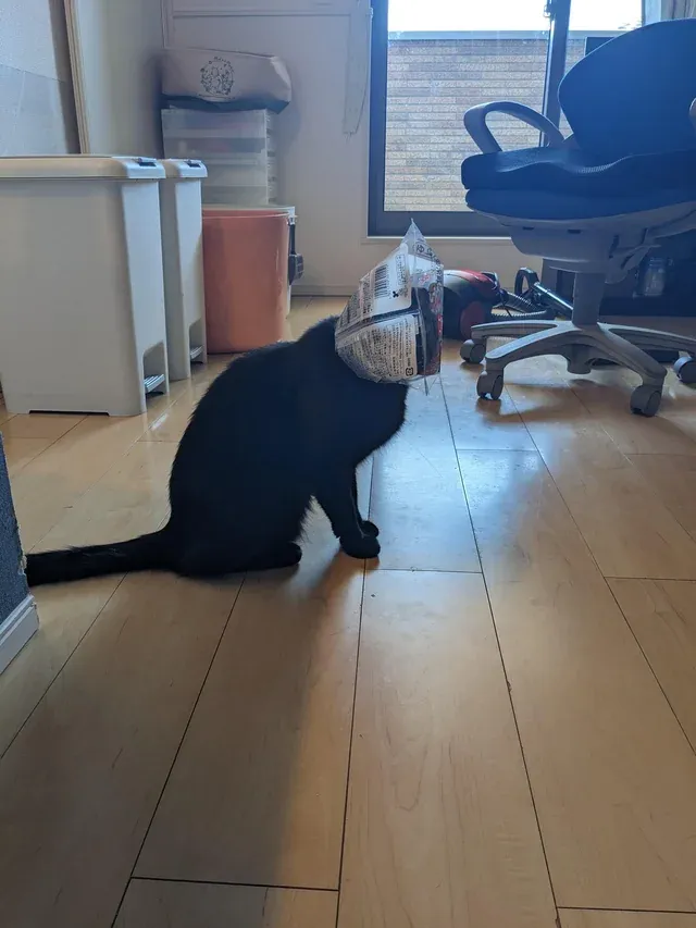 «Как Вам моя новая шляпка?»