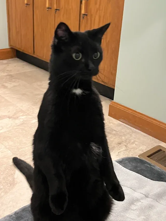 «Увидел ванну полную воды».