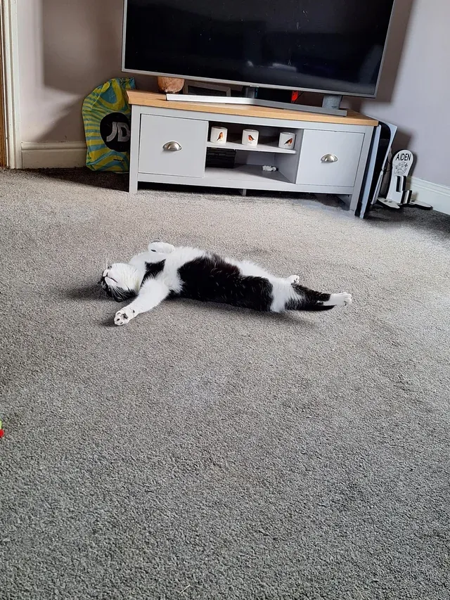 «Сфотографируй будто я мёртв». 