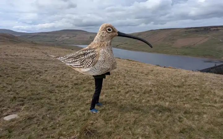 Мэтт Тревельян в костюме кроншепа.