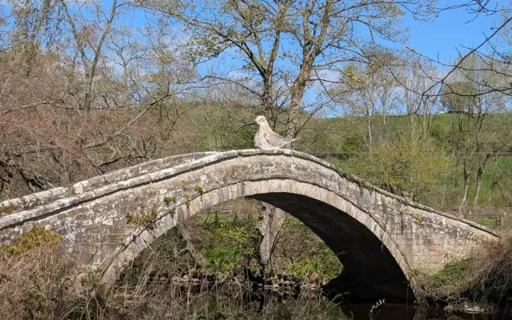  Акцию Мэтт Тревельян приурочил к Всемирному дню кроншепа.  