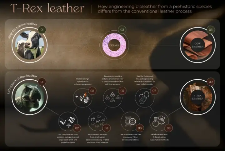 Команда надеется, что её метод поможет избежать жестокого обращения с животными.
