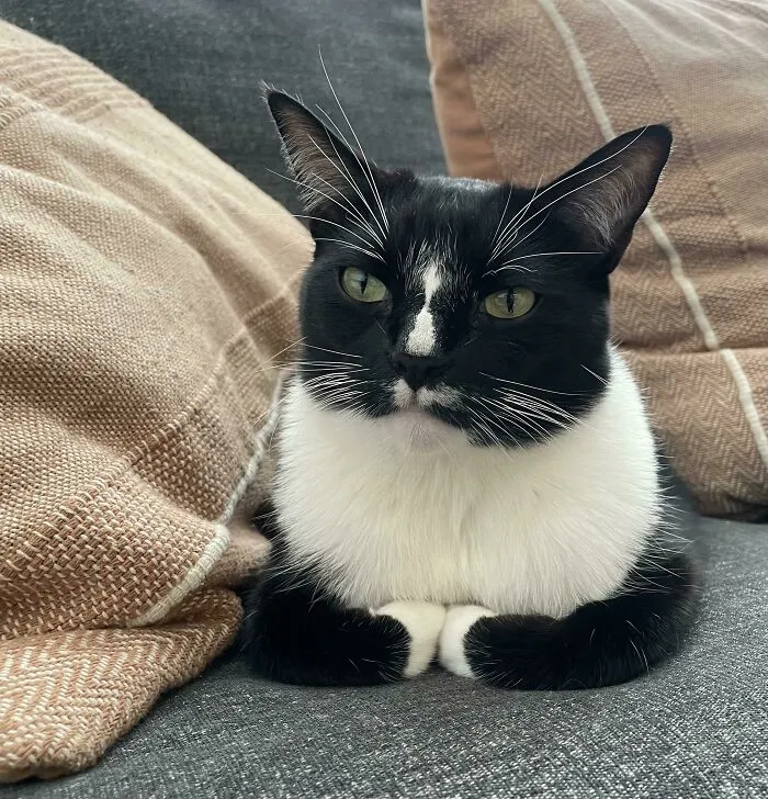 «Ну рассказывай, кожаный».