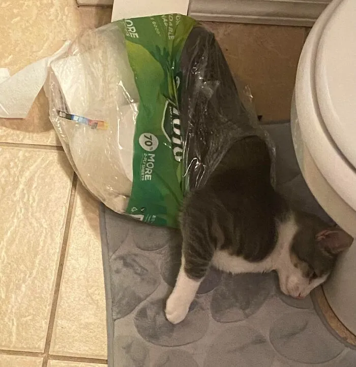 «Вышел из душа и увидел это».