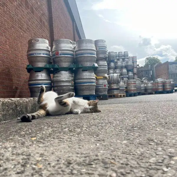 Он счастлив.