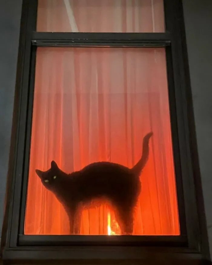 Снято в Чикаго, Иллинойс.