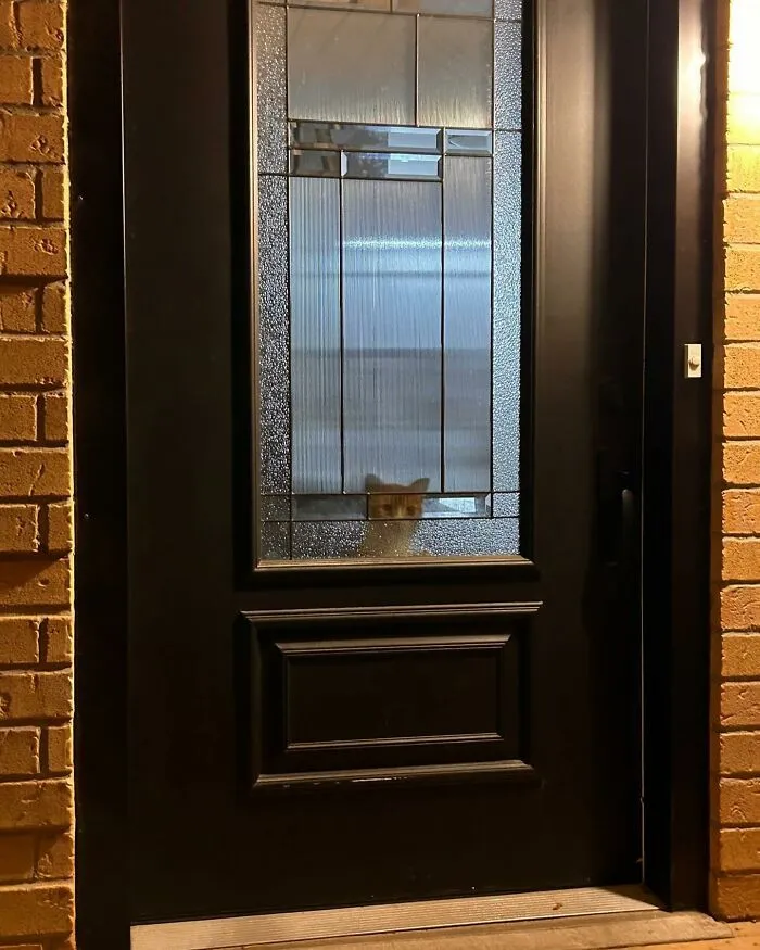 За вами наблюдают…