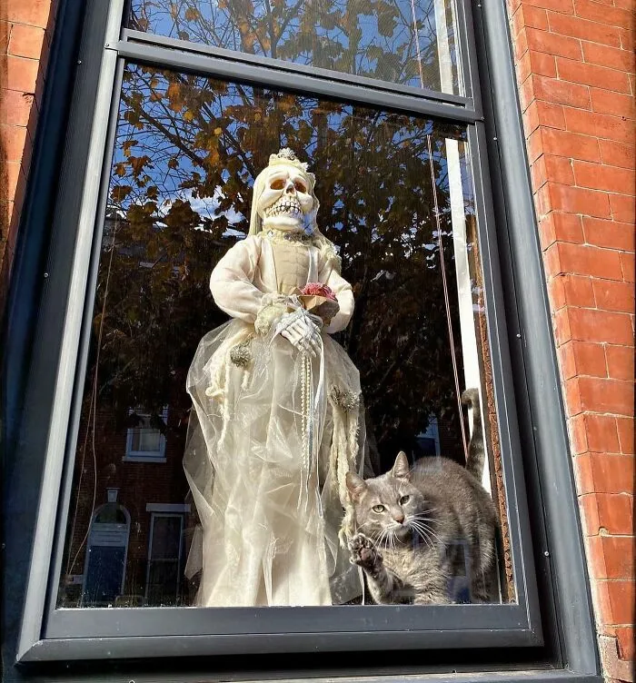 Снято в Филадельфии, штат Пенсильвания.