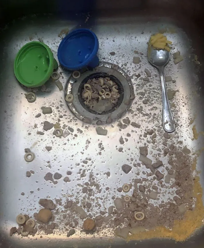 «Вот в каком виде мой зять оставил кухонную раковину, когда я вернулась домой».