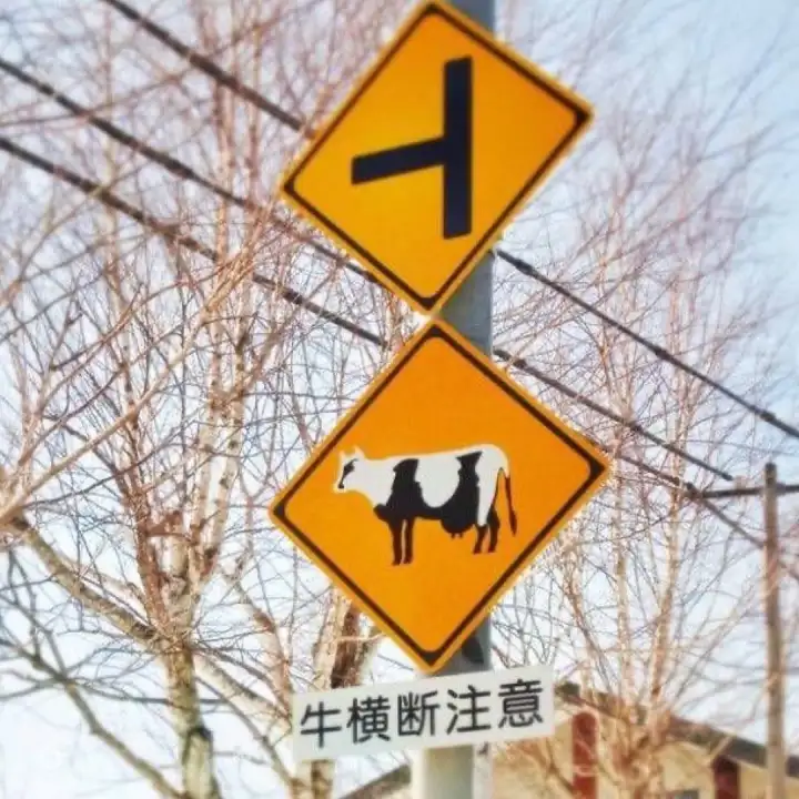 Осторожно, коровы.