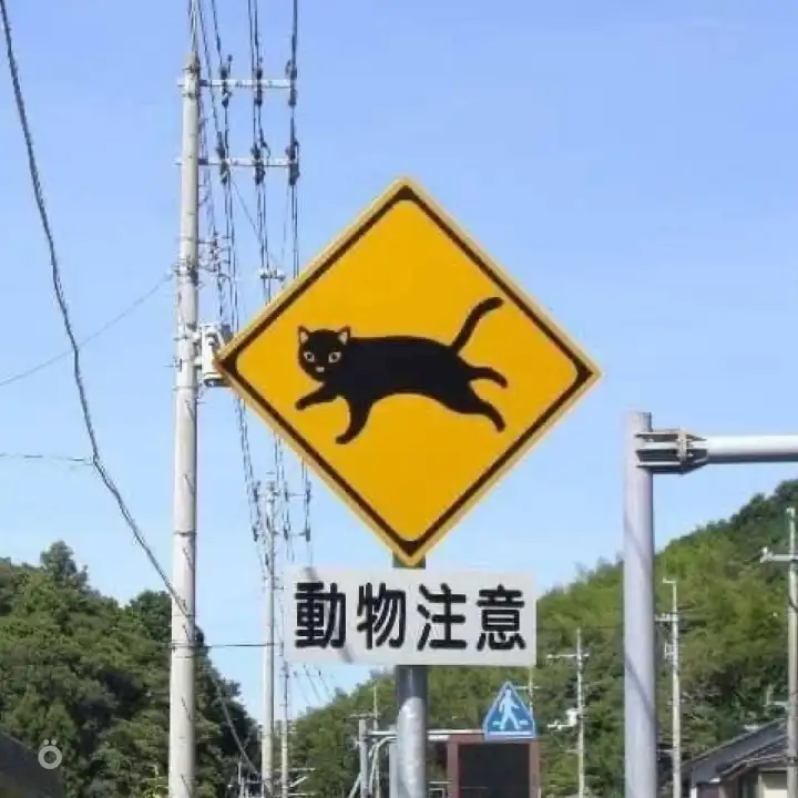 Осторожно, коты.