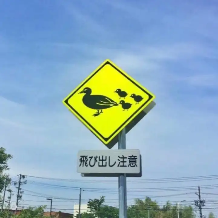 Осторожно, уточки.