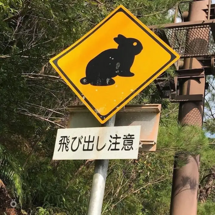 Осторожно, зайцы.