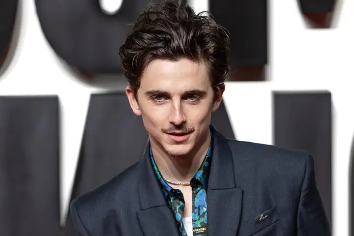 Тимоти Шаламе. 