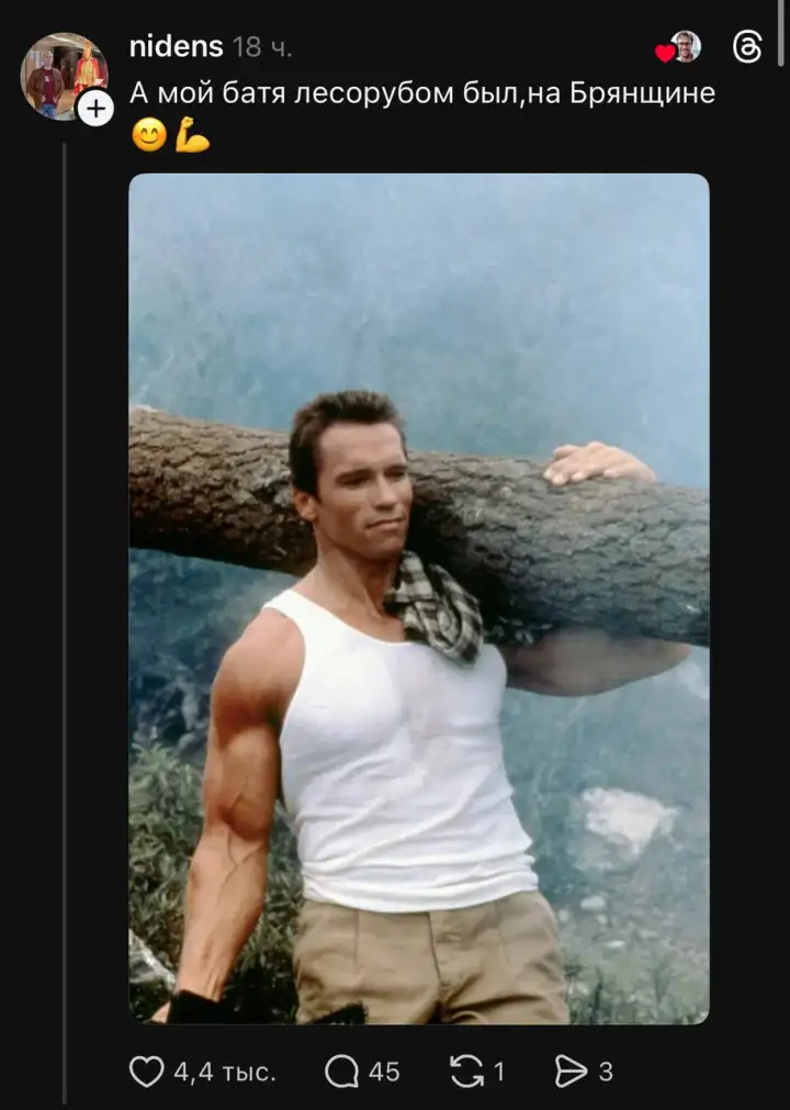 Арнольд Шварценеггер также в роли бати.