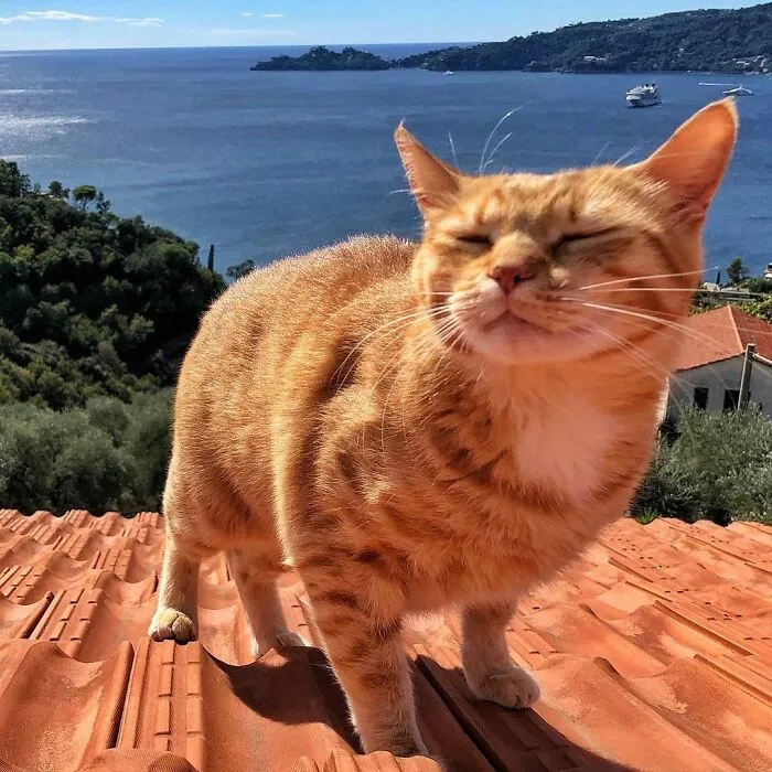 Солнечные ванны.