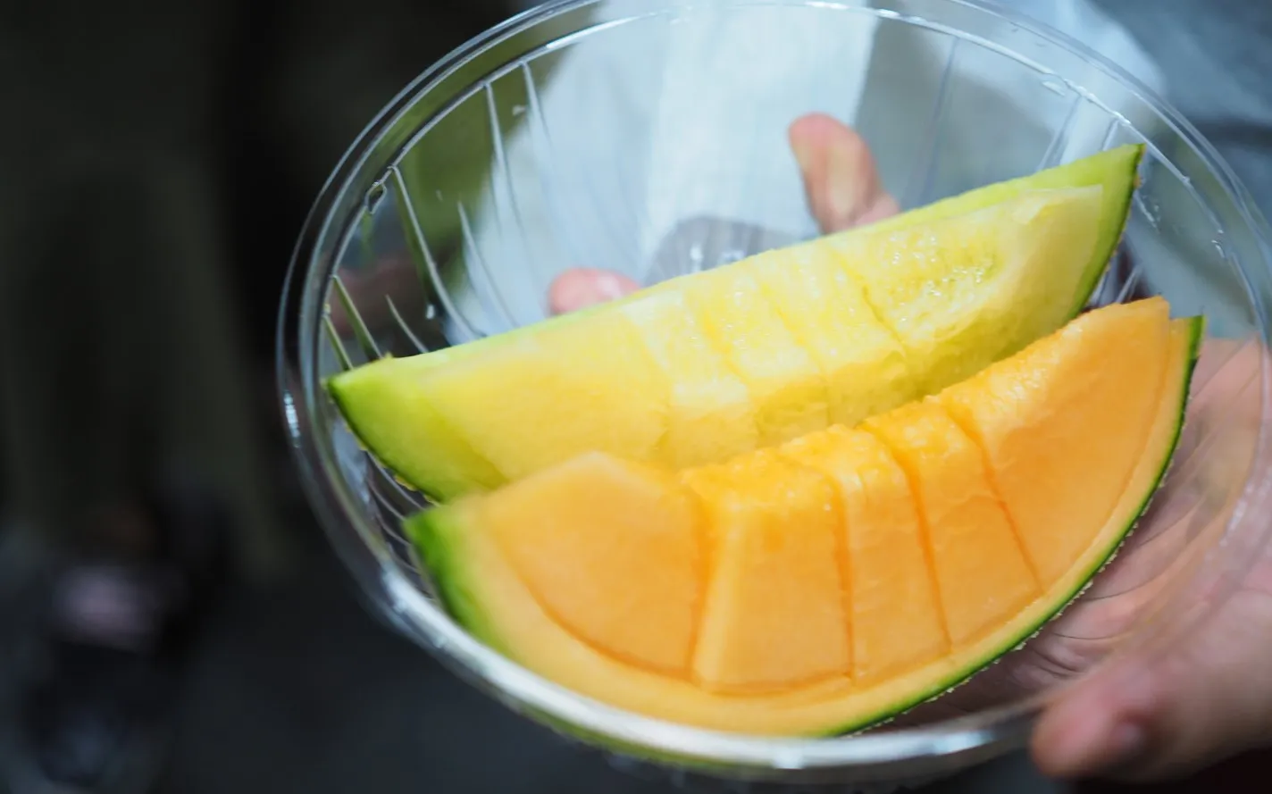 Дыня почти на 90% состоит из воды.