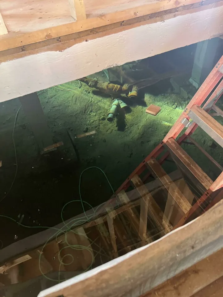 «Рабочие забыли выключить воду, и теперь у нас есть новый бассейн».