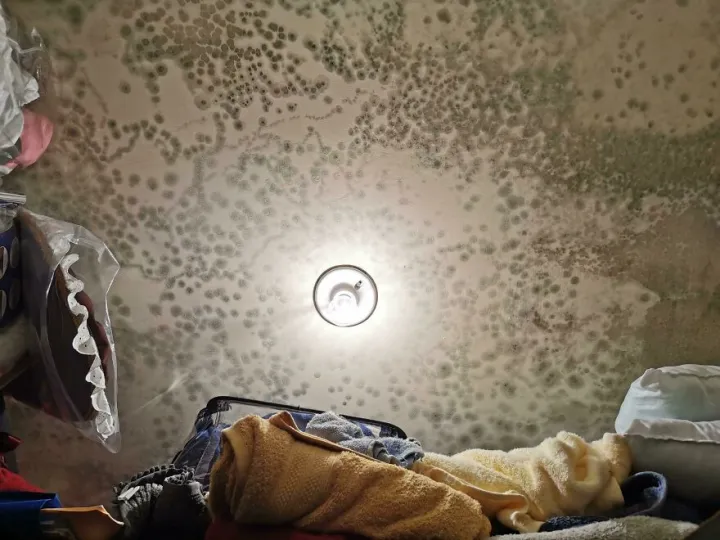 «Только что вернулся домой из отпуска и обнаружил потолок в таком виде».