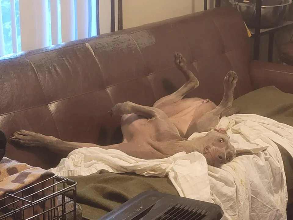 «Зашел в гостиную».