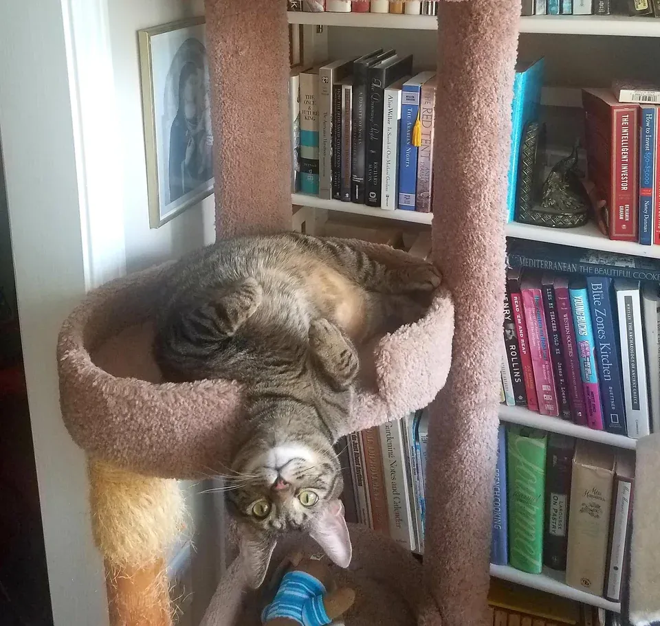 «Мы взяли этого болвана пару месяцев назад».