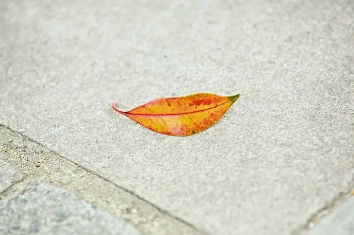 Улыбка природы.