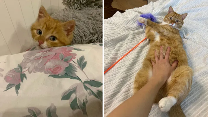 За секунду до кусь.